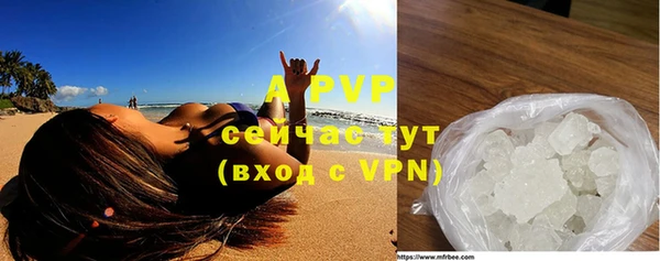 гашик Богданович