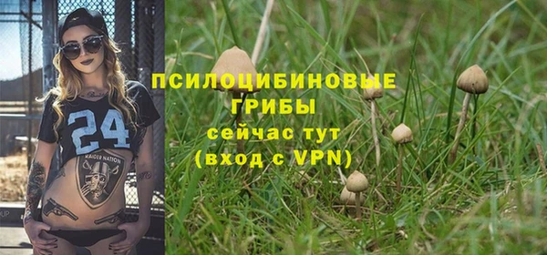 гашик Богданович