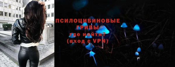 2c-b Богородск