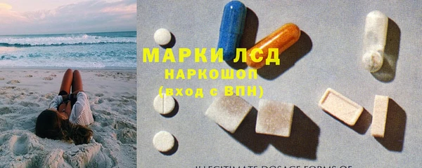 гашик Богданович