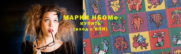 гашик Богданович