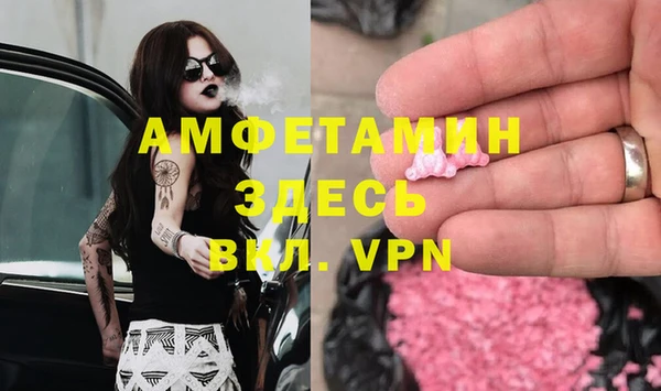 гашик Богданович