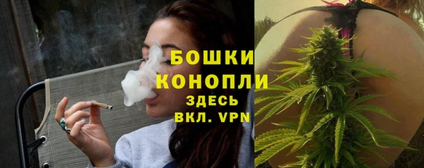 2c-b Богородск