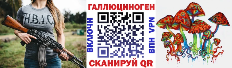 Купить  Вилючинск  Псилоцибиновые грибы MAGIC MUSHROOMS 